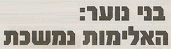 מעיין בינה - מאמר