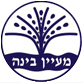 מעיין בינה - עמותה לילדים ונוער במצוקה